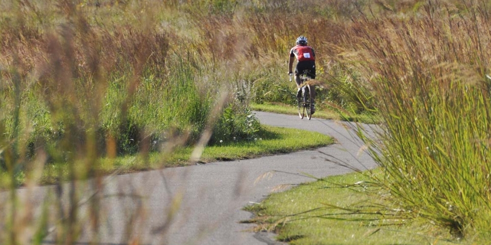Trails are abundant in [[City]]