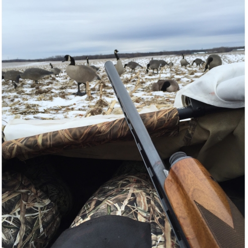Duck and Goose Hunting in Outdoors
